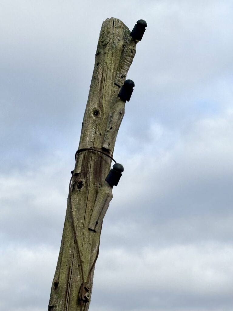 Close up of three black insulators on the top of a grey telegraph pole. There is wire around the pole, and a cloudy sky in the background.