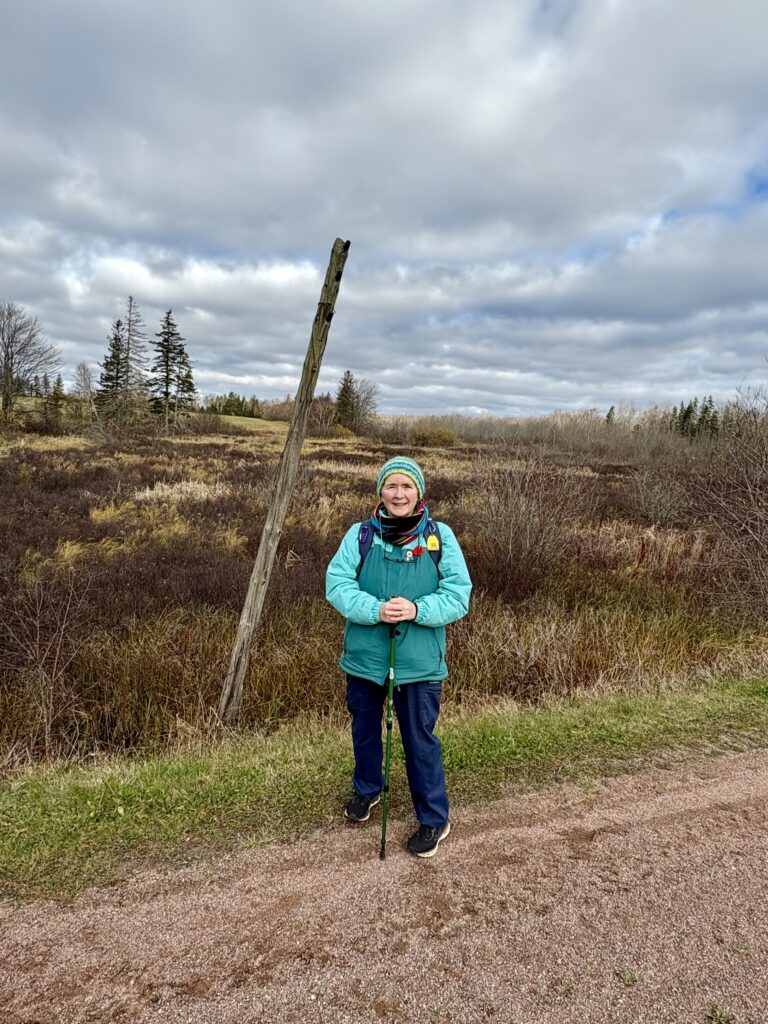 A person with pale skin wearing a hat and holding a walking pole standing next to a trail in front of a leaning telegraph pole. There is a cloudy sky at the top and bushes, grass and trees behind.