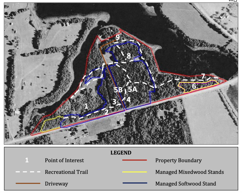 Black and white map of the land we occupy showing trails in white.