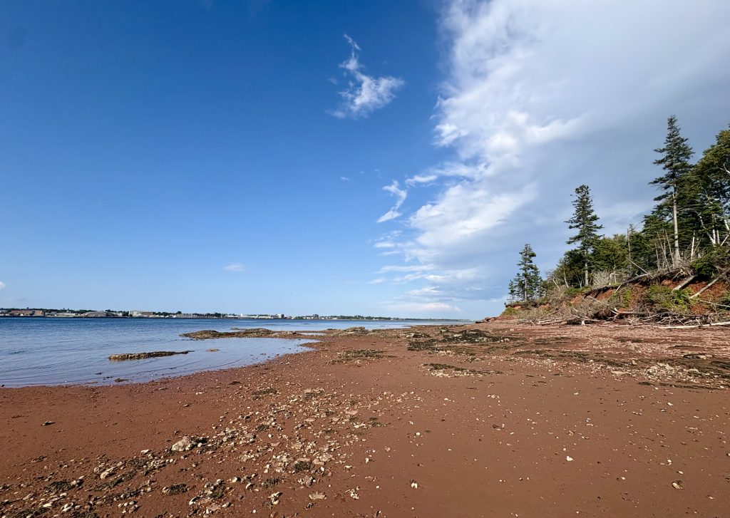 A blue sky with white and grey clouds at the top, trees on a cliff on the right, distant buildings on the left, water in the middle, and a red sand beach covered with shells at the bottom.