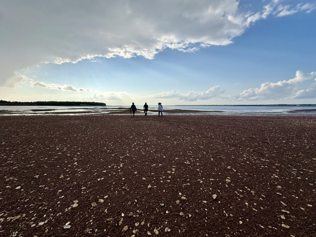 Three people walking on a red sand beach that has many white shells on it. At the top are white-and-grey clouds and blue sky.